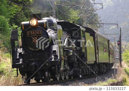 ［CR］秩父鉄道　SLパレオエクスプレス（旧型客車特別運行） 113833227
