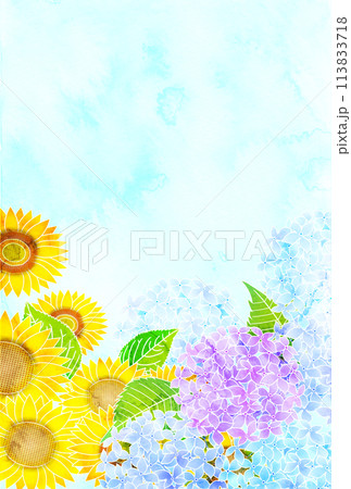 ひまわり あじさい 水彩 夏 背景 のイラスト素材 [113833718] - PIXTA