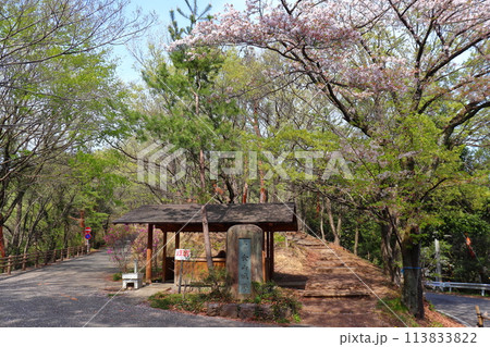 新田金山城跡 登山道入口（群馬県 太田市） 113833822