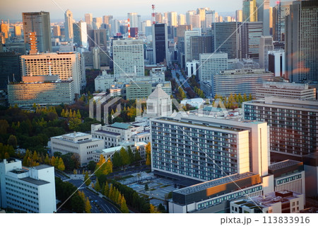 国会議事堂 風景 国会議事堂 風景 113833916