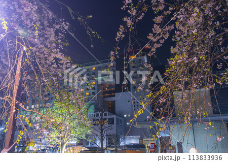 京都夜景 真夜中の京都駅ビルと桜 京都夜景 真夜中の京都駅ビルと桜 113833936