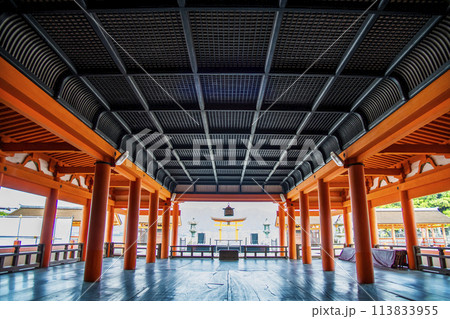 広島 嚴島神社　御本社祓殿 113833955