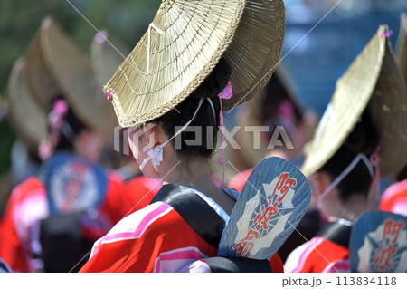 徳島阿波踊り　春の祭典「はなはるフェスタ」　出番待ち有名連の女踊り 113834118