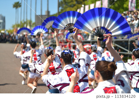 徳島市阿波踊り 春の祭典「はなはるフェスタ」 有名連の女ハッピ踊り 徳島市阿波踊り 春の祭典「はなはるフェスタ」 有名連の女ハッピ踊り 113834120