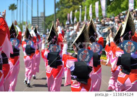 徳島市阿波踊り　春の祭典「はなはるフェスタ」女踊りの有名連 113834124