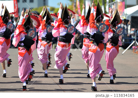 徳島市阿波踊り　春の祭典「はなはるフェスタ」扇踊りの有名連 113834165
