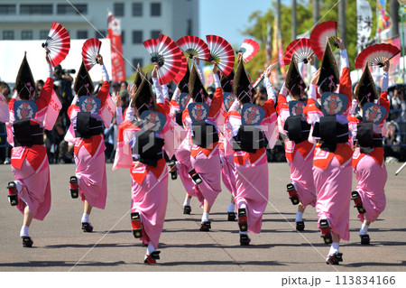 徳島市阿波踊り　春の祭典「はなはるフェスタ」扇踊りの有名連 113834166