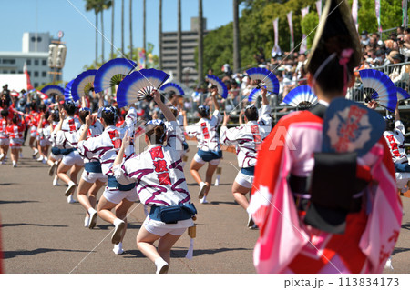 徳島市阿波踊り　春の祭典「はなはるフェスタ」　有名連の女ハッピ踊り 113834173