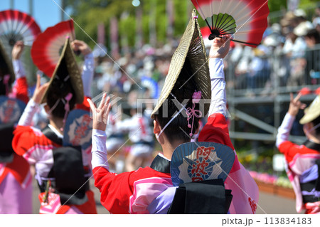 徳島市阿波踊り　春の祭典「はなはるフェスタ」扇踊りの有名連 113834183