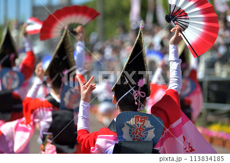 徳島市阿波踊り　春の祭典「はなはるフェスタ」扇踊りの有名連 113834185