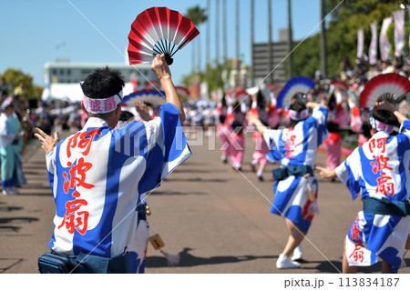 徳島市阿波踊り 春の祭典「はなはるフェスタ」扇踊りの有名連 徳島市阿波踊り 春の祭典「はなはるフェスタ」扇踊りの有名連 113834187