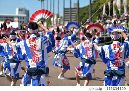 徳島市阿波踊り　春の祭典「はなはるフェスタ」扇踊りの有名連 113834190