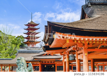 広島 嚴島神社　御本社祓殿・客神社祓殿・五重塔 113834196