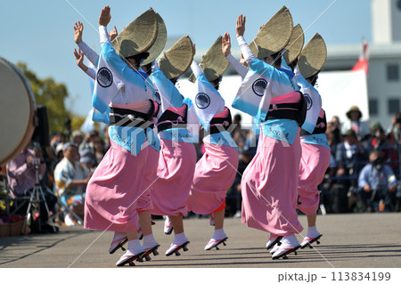 徳島市阿波踊り　春の祭典「はなはるフェスタ」女踊りの有名連 113834199