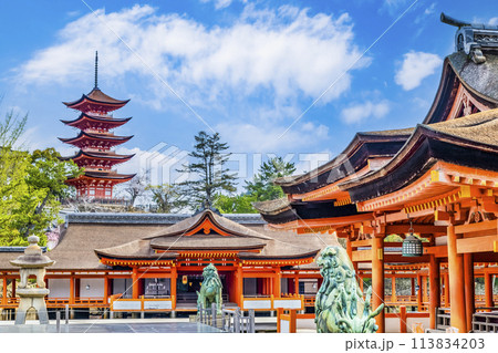 広島 嚴島神社　御本社祓殿・客神社祓殿・五重塔 113834203