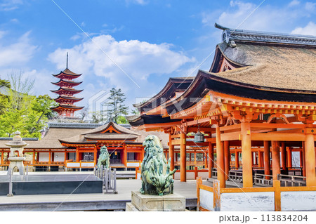 広島 嚴島神社　御本社祓殿・客神社祓殿・五重塔 113834204