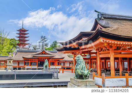 広島 嚴島神社　御本社祓殿・客神社祓殿・五重塔 113834205