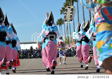 徳島市阿波踊り　春の祭典「はなはるフェスタ」女踊りの有名連 113834210