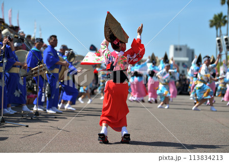 徳島市阿波踊り 春の祭典「はなはるフェスタ」女踊りの有名連 徳島市阿波踊り 春の祭典「はなはるフェスタ」女踊りの有名連 113834213