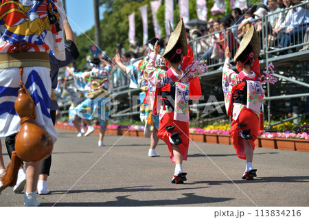 徳島市阿波踊り　春の祭典「はなはるフェスタ」女踊りの有名連 113834216