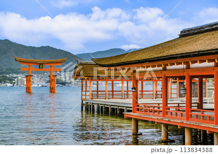 広島 嚴島神社　左楽房と大鳥居 113834388