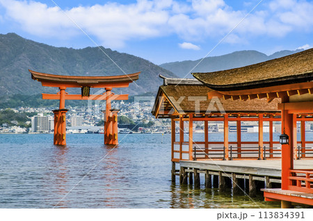 広島 嚴島神社　左楽房と大鳥居 113834391