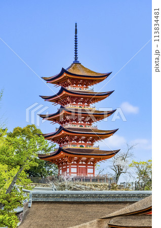 広島 嚴島神社　五重塔（御本社側から） 113834481