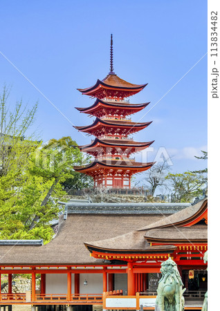 広島 嚴島神社　五重塔（御本社側から） 113834482