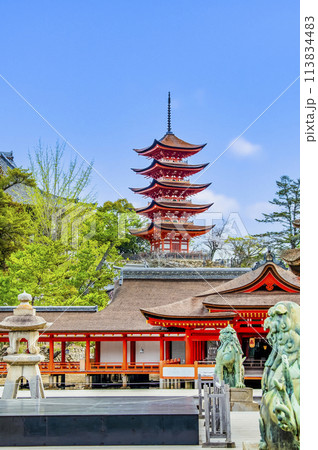 広島 嚴島神社　五重塔（御本社側から） 113834483