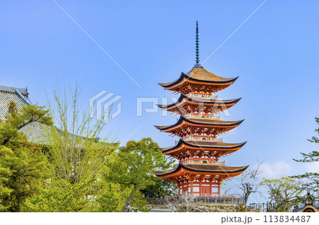 広島 嚴島神社　五重塔（御本社側から） 113834487