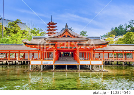 広島 嚴島神社　客神社祓殿と五重塔 113834546