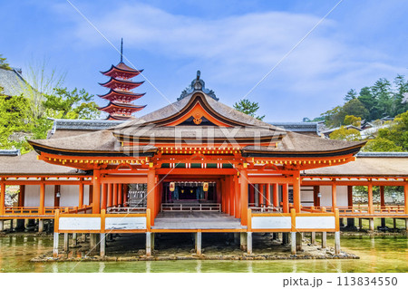 広島 嚴島神社　客神社祓殿と五重塔 113834550