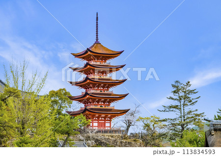 広島 嚴島神社　五重塔（御本社側から） 113834593