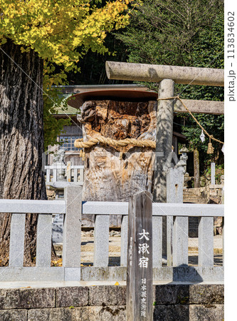 旧中山道大湫宿大湫神明神社大杉の切り株 113834602