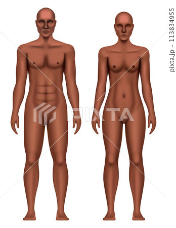 Black man and woman anatomical body realistic vector illustration isolated on a white background 113834955