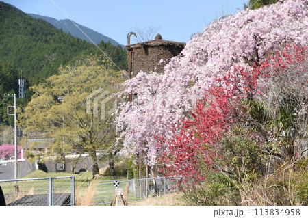 JR名松線終着駅「伊勢奥津」に咲く枝垂桜と給水塔 JR名松線終着駅「伊勢奥津」に咲く枝垂桜と給水塔 113834958