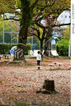 公園で子供と遊ぶお父さん 公園で子供と遊ぶお父さん 113835047
