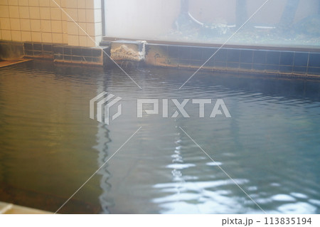 温泉の湯舟 温泉の湯舟 113835194