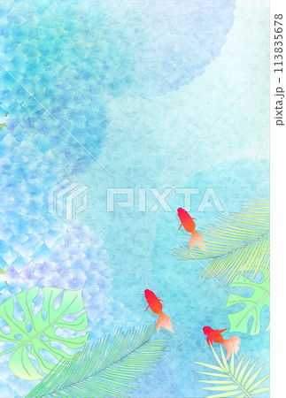 金魚 暑中見舞い 和柄 あじさい 背景 金魚 暑中見舞い 和柄 あじさい 背景 113835678