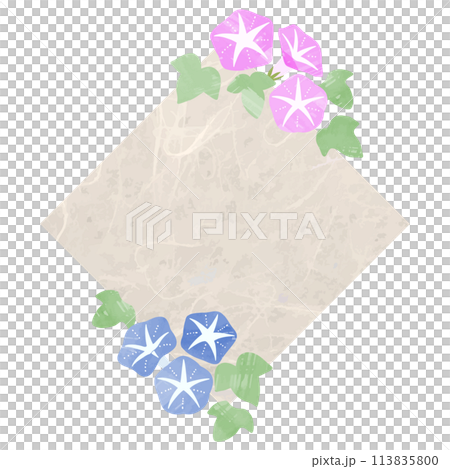 Diamond-shaped Japanese paper and morning glory frame material Diamond-shaped Japanese paper and morning glory frame material 113835800