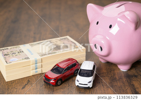 ブタの貯金箱と車 113836329