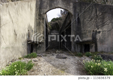 【大久野島の長浦毒ガス貯蔵庫跡 (軍事施設 遺跡)】 広島県竹原市忠海町	 113836379