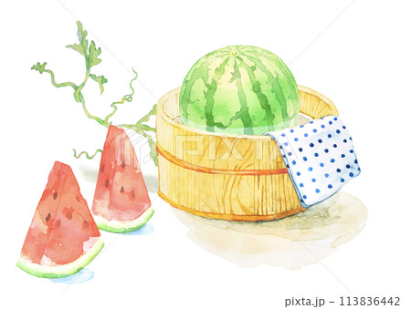 冷たい水の桶に入ったスイカの水彩イラスト 113836442