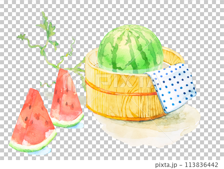 冷たい水の桶に入ったスイカの水彩イラスト 113836442