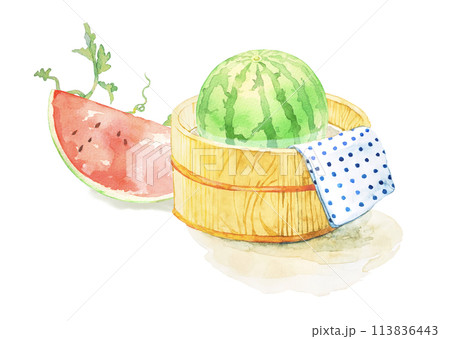 冷たい水の桶に入ったスイカの水彩イラスト 冷たい水の桶に入ったスイカの水彩イラスト 113836443