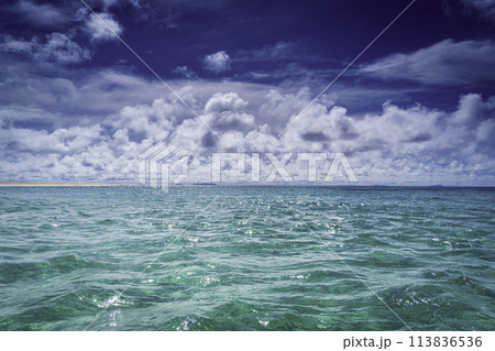 エメラルドグリーンの海と白い雲 113836536