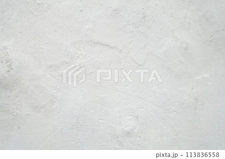 古い白壁 113836558