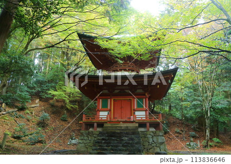 比叡山　根本妙法塔 113836646