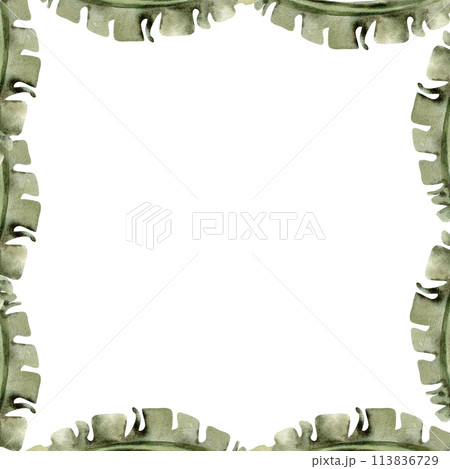 Green vintage tropical palm leaves watercolor frame. Hand drawn green floral border, botanical template for summer, tourist agency, flower shop , packing design 113836729