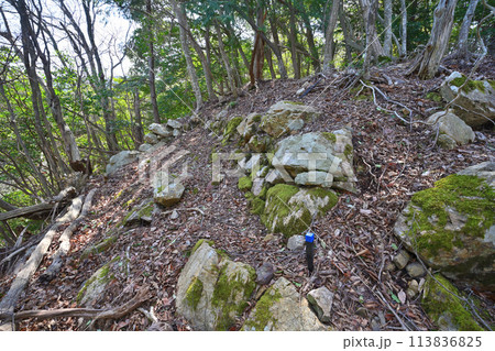 福井県 若狭武田氏「白石山城」の石垣と曲輪・眺望 福井県 若狭武田氏「白石山城」の石垣と曲輪・眺望 113836825